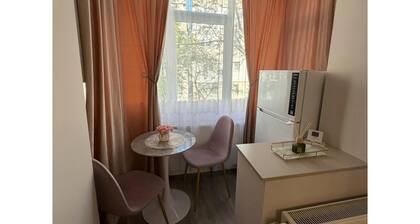 Sofia Apartment 1-bedroom apartment in amazing Galați