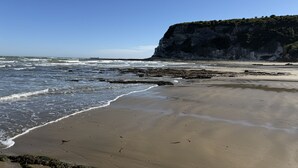 Beach - Red Cedars (Bembridge)