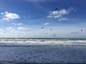 Ein Strand mit Wellen und Vögeln im Himmel.