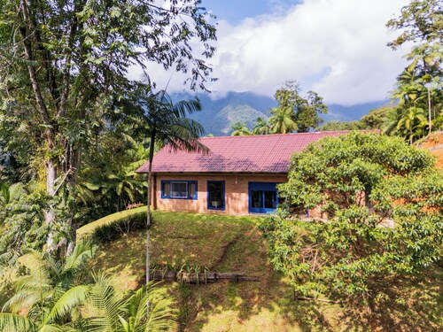 Dona Bela Farm – Forest view and barbecue area