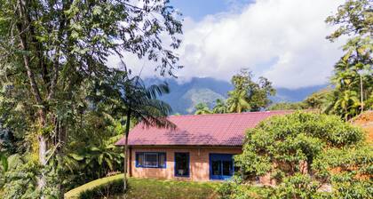 Dona Bela Farm – Forest view and barbecue area