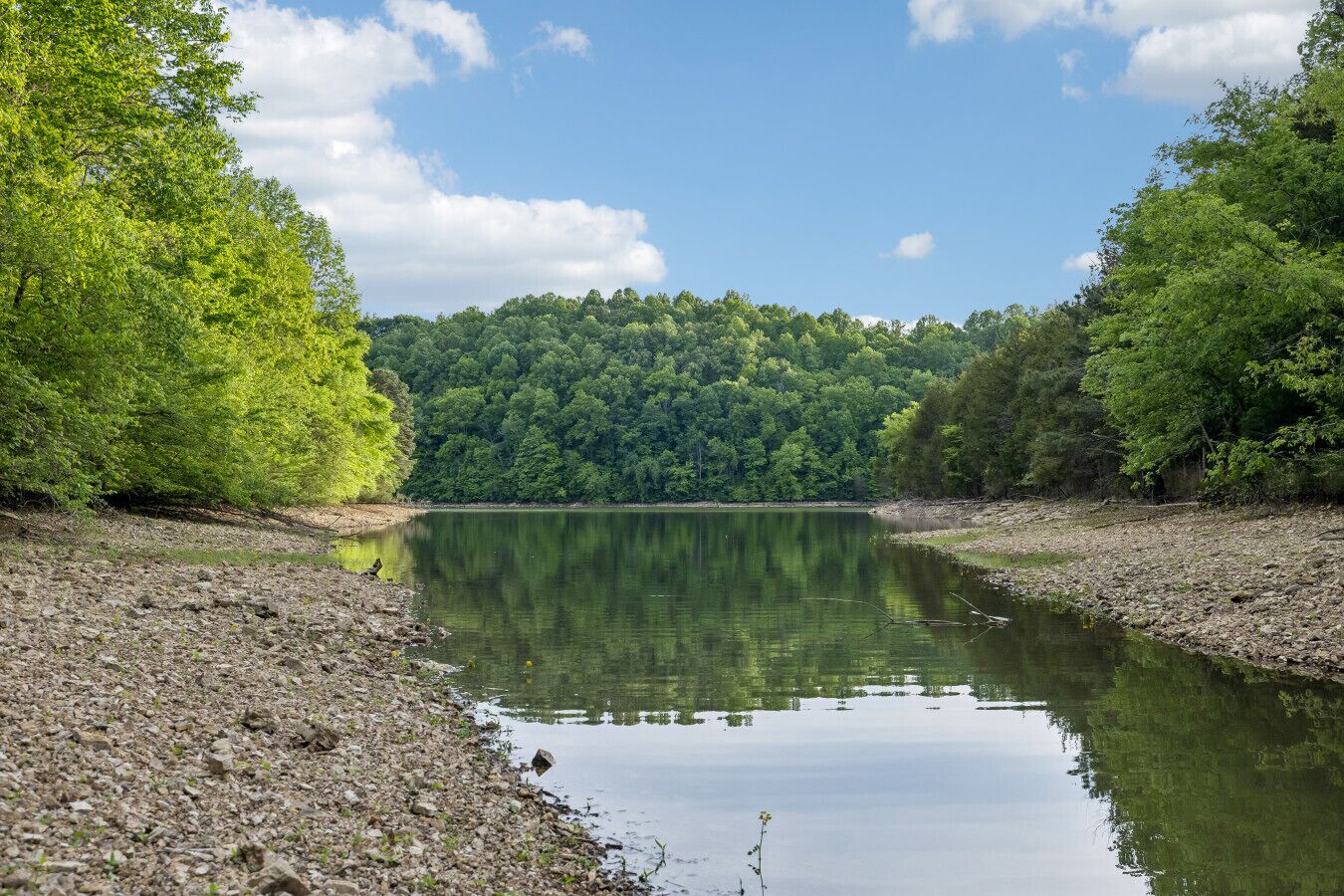 A calm lake surrounded by dense forest, clear skies, and rocky shores.