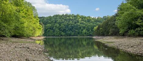 A calm lake surrounded by dense forest, clear skies, and rocky shores.