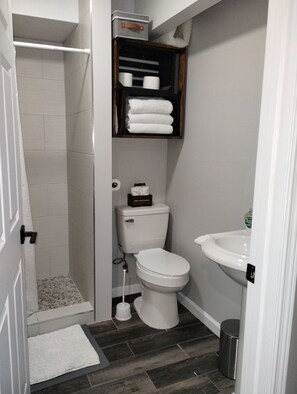 Shower, hair dryer, towels, soap - Charming studio in Des Moines perfect for a relaxing getaway (Des Moines)