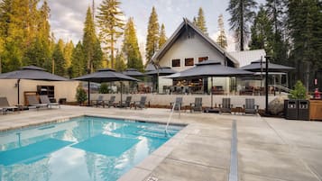 A pool area with lounge chairs and umbrellas, surrounded by tall trees.