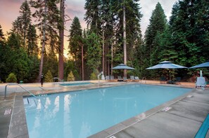 A swimming pool with lounge chairs and umbrellas, surrounded by tall trees. - Waybound Yosemite (Fish Camp)