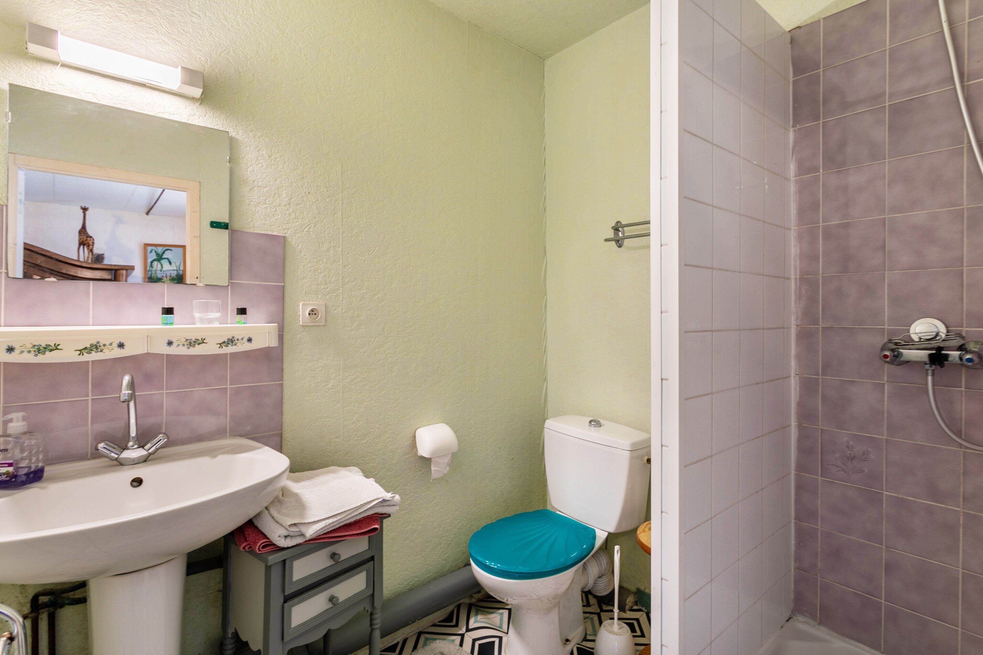 Douche, serviettes fournies