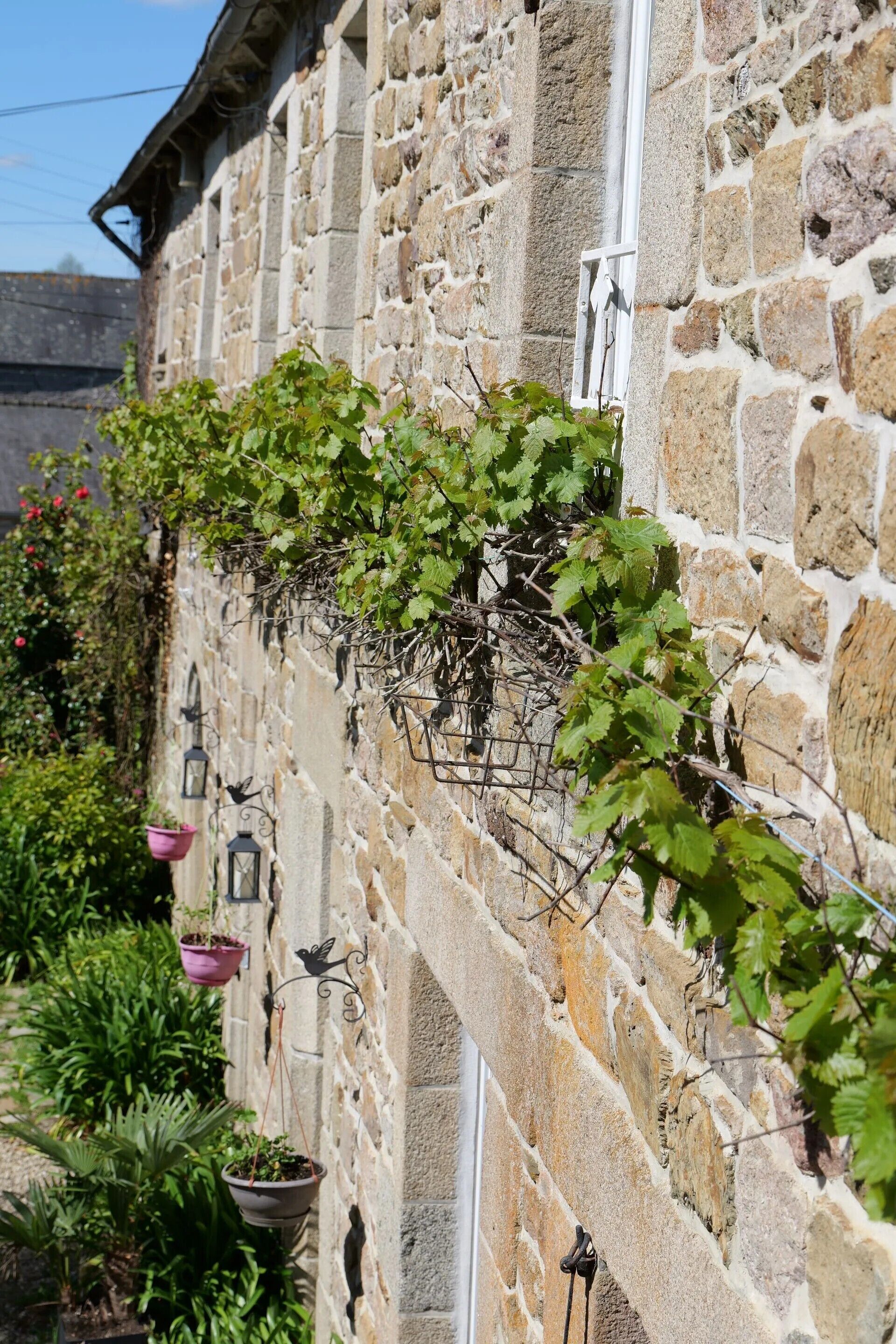 Detalle exterior