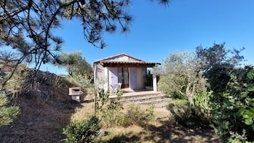 Esterni