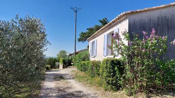 Detalle exterior