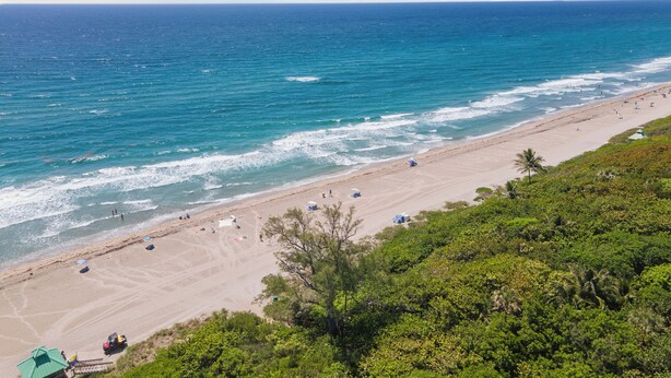 Uma praia com águas azul-claras, areal arenoso e vegetação exuberante.