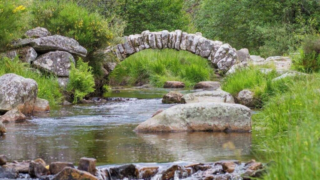 A stone bridge over a stream with surrounding greenery.