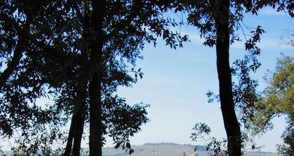 Lake Bracciano villa with private beach