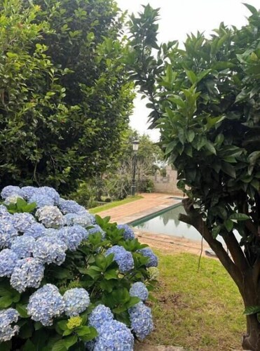 Group-Ready Villa | Beachfront Location | Panxón, Galicia