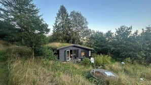 Eine kleine Holzhütte mit Glastür, umgeben von hohem Gras und Bäumen.