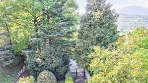 Ein Gartenpfad, umgeben von verschiedenen Bäumen und Sträuchern.