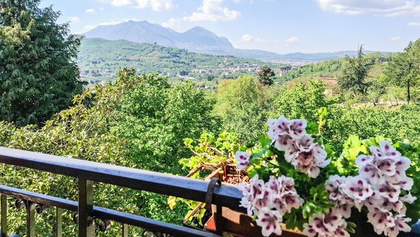 Ein Balkon mit Blick auf eine gebirgige Landschaft, einem Geländer und einer Blumenkiste mit Blumen.
