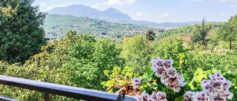 Appartement, balcon, vue jardin | Enceinte de lâhĂ©bergement