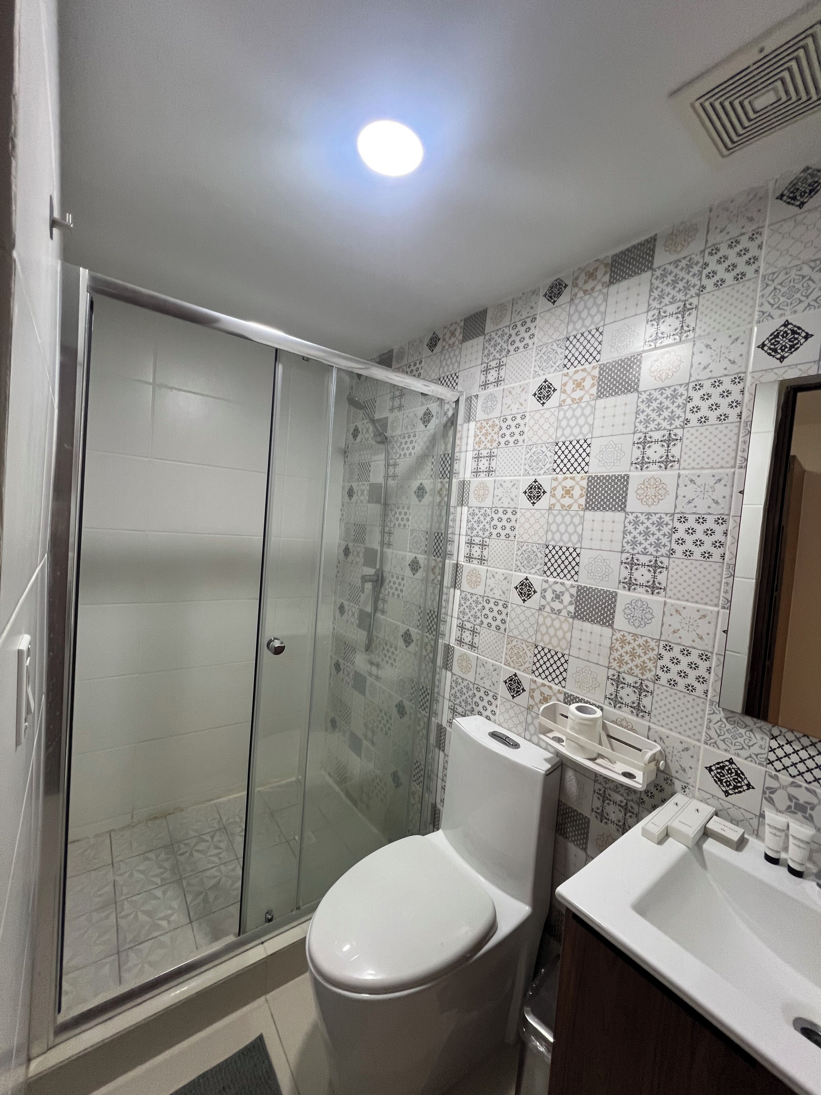 Une salle de bain avec douche, toilettes et lavabo.