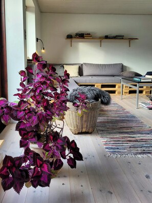 Ein Wohnzimmer mit Sofa, Couchtisch, Pflanze und Teppich.