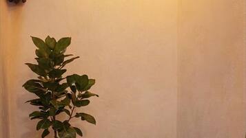 Studio Supérieur, patio | Intérieur