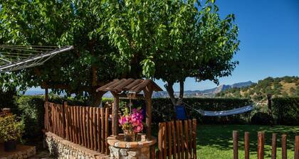 曆the village villa 曆