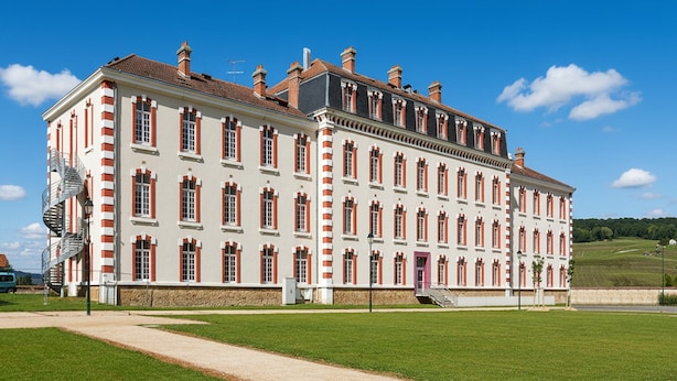 A large, historic building with a symmetrical facade, multiple chimneys, and a central entrance with a staircase. - Elegant Vineyard Stay for Three (Epernay)