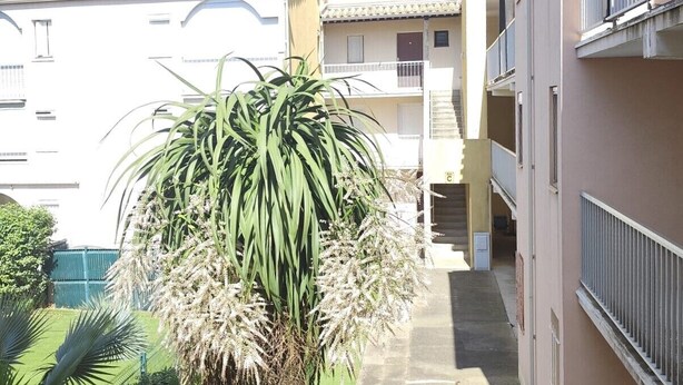 A residential building with balconies, a central staircase, and a palm tree. - Bright apartment for 6 people, near the sea (Agde)