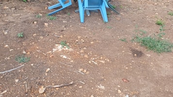 Un montón de sillas de plástico azules sobre un suelo de tierra con vegetación escasa al fondo.