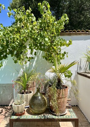 Property grounds - La Muyoise, Village House with Private Pool (Le Muy)
