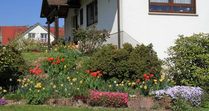 Spacious, well-equipped apartment on the outskirts of the village. Located directly on hiking trails.