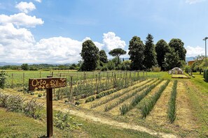 Terrain de lâhĂ©bergement