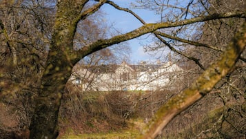 منوع