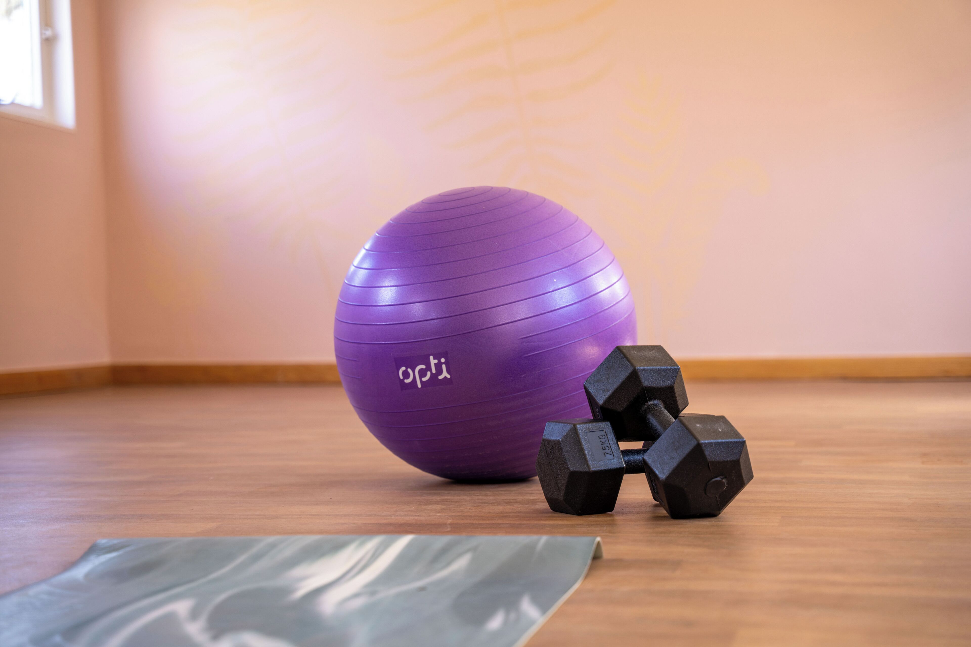 A purple exercise ball, two black dumbbells, and a yoga mat on a wooden floor in a room with a light-colored wall.