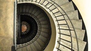 En spiralformet trappe med cirkulært design, metalgelændere og et centralt træelement.