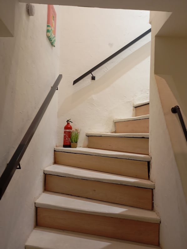 Eine Treppe mit Holzhufen, ein Feuerlöscher und ein kleiner Topfpflanze.
