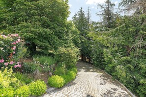Un sendero adoquinado rodeado de vegetación exuberante y plantas con flores.
