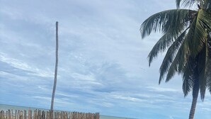 Deux personnes tenant des verres, avec une plage et des palmiers en arrière-plan.