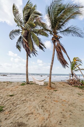 Beach - Casa Jaguar beach, the best sunsets and the sea (San Bernardo Del Viento)