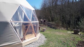 Una estructura en forma de domo geodésico con interior de madera, rodeada de un área boscosa.
