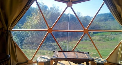 3 Domes: The Mush's Rooms _ Alpacas and Starry Nights
