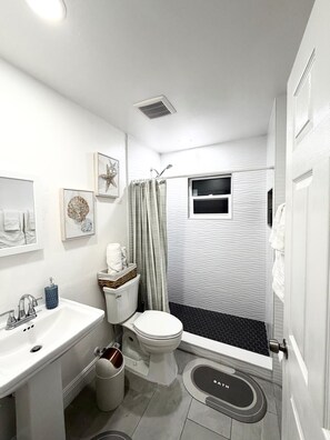 Shower, hair dryer, soap - Spacious Cozy 2-bedroom house in charming Apopka (Apopka)