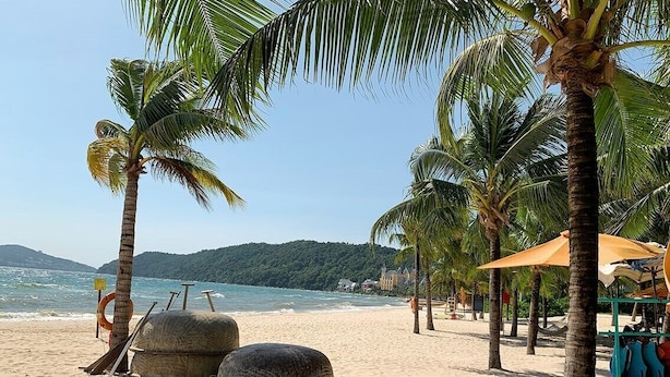 Ein Strand mit Palmen, einem Rettungsboje und einem Strandsonnenschirm.