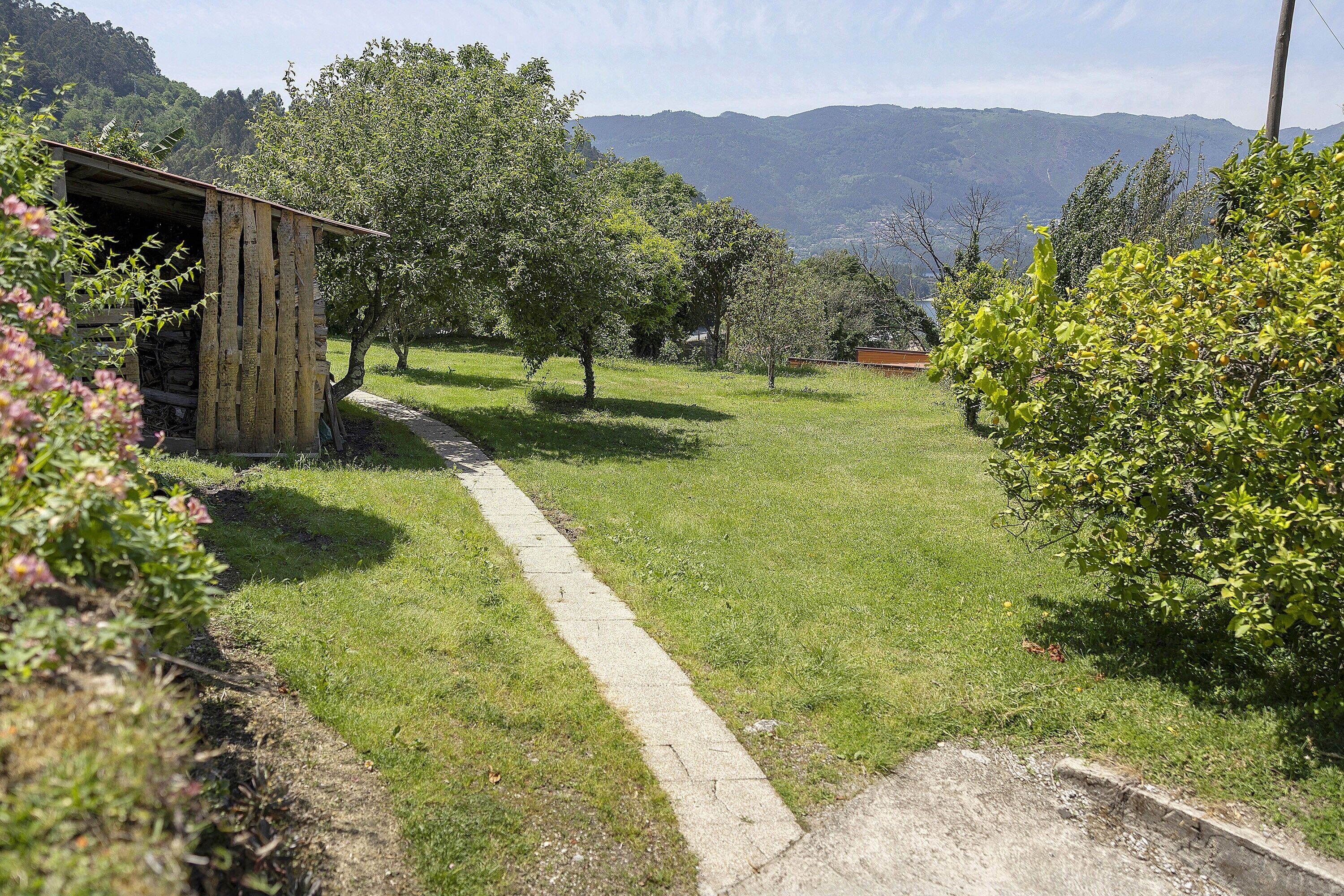 Un paysage rural avec un sentier de pierres menant à une construction en bois, entourée d’une végétation luxuriante et de montagnes lointaines.