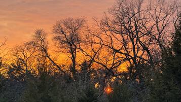 Un atardecer con siluetas de árboles y cielo despejado.