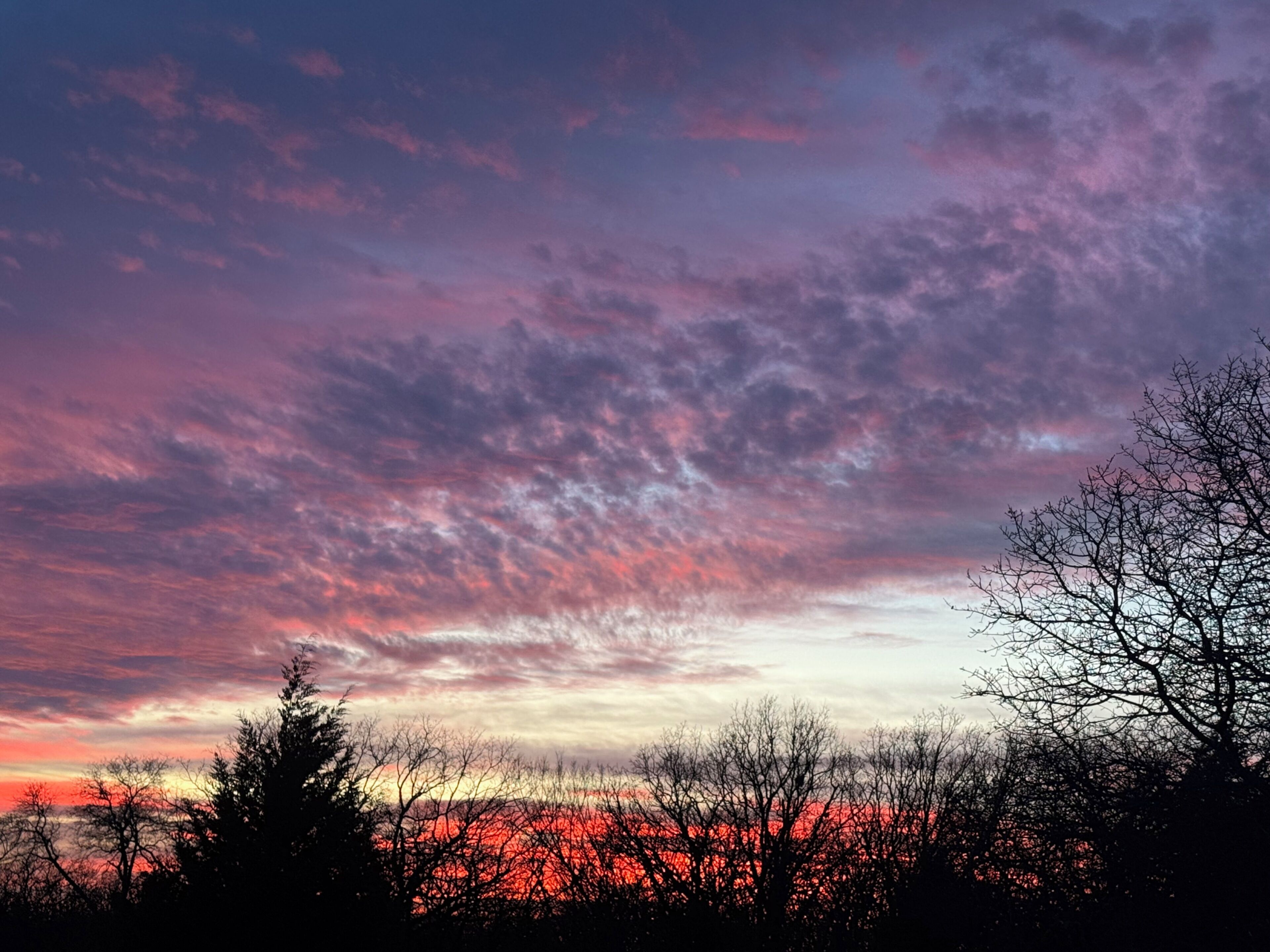 A sunset with a vibrant sky and silhouetted trees.