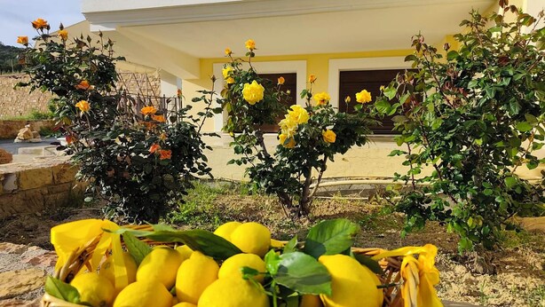 A building with yellow walls and a stone pathway. - Άνετος οικογενειακός χώρος στην Αγία Ερμιόνη Χίου λίγα λεπτά από την παραλία! (AGIA ERMIONI)