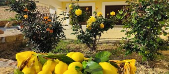 Άνετος οικογενειακός χώρος στην Αγία Ερμιόνη Χίου λίγα λεπτά από την παραλία!