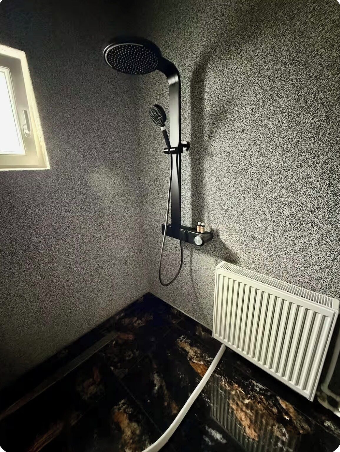 Shower, hair dryer, toilet paper