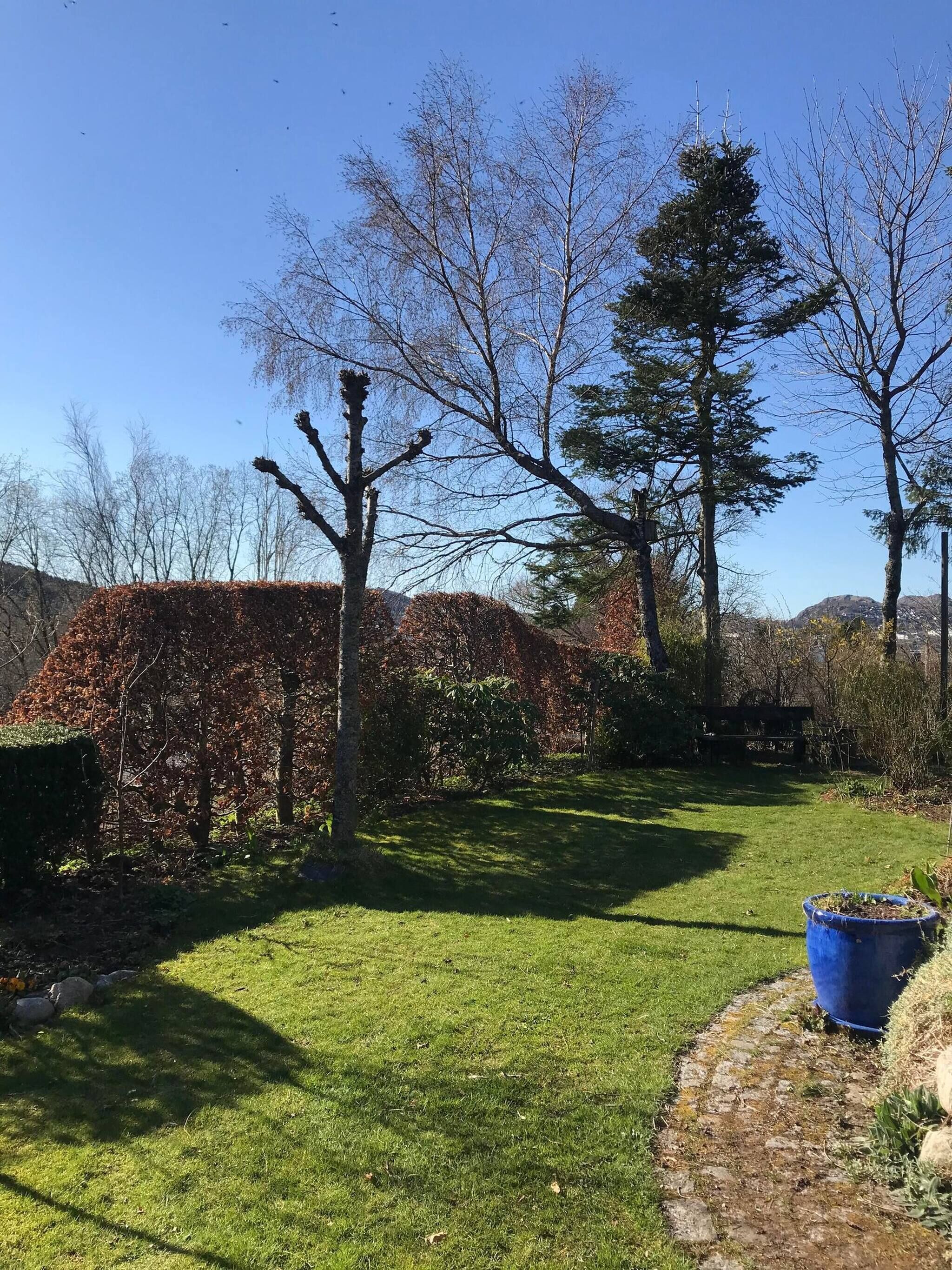 Apartment, 1 Bedroom, Accessible, Fireplace | Garden